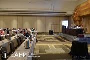 isahp_6-30-14_128